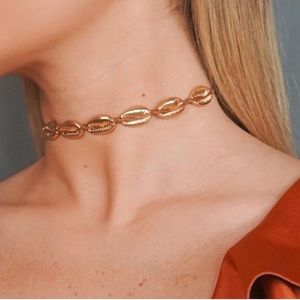 Gold shoker shell !!